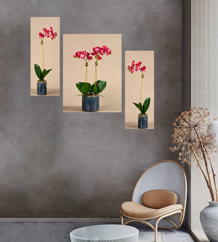 Set Of 3
